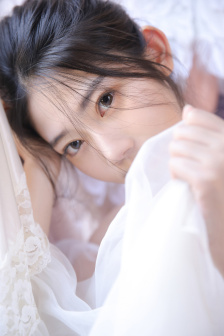 完美的妻子